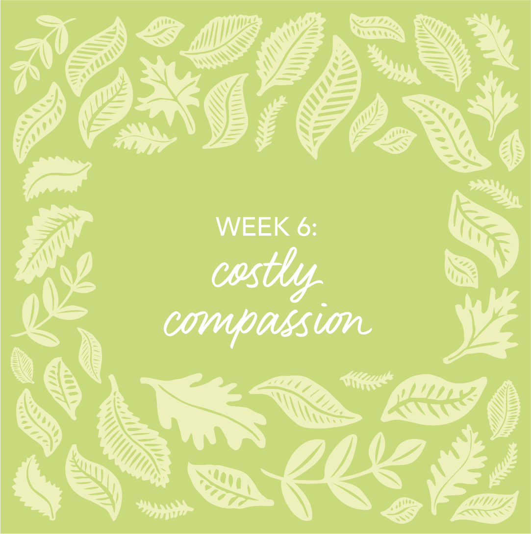 Week 6 Costly Compassion