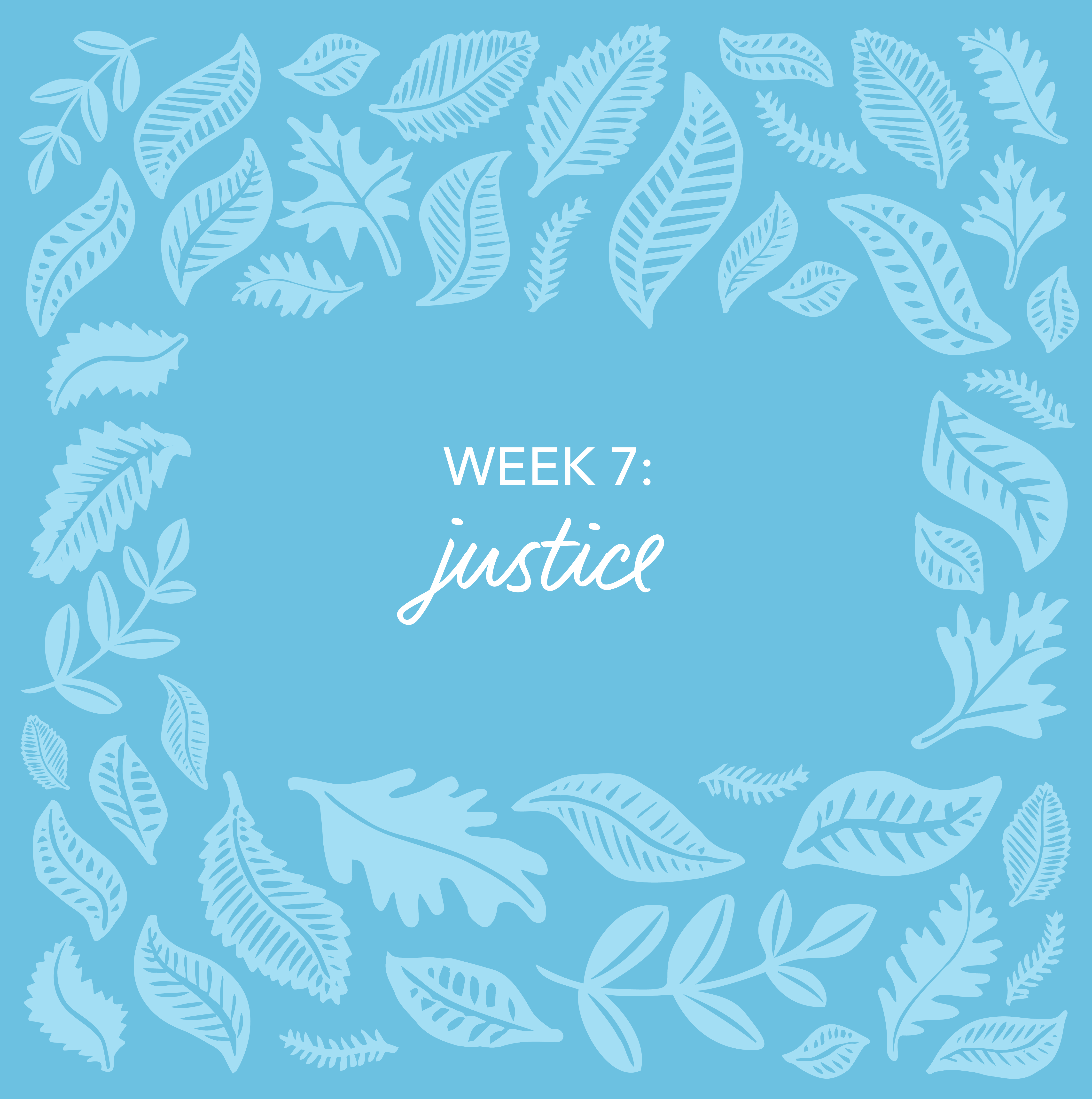 Week 7 Justice