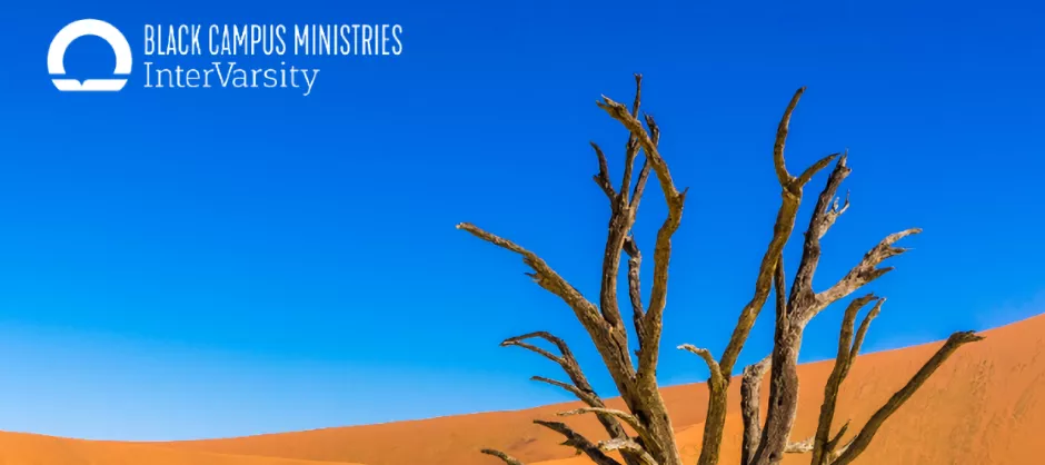 Life of Moses (BCM Guide) banner