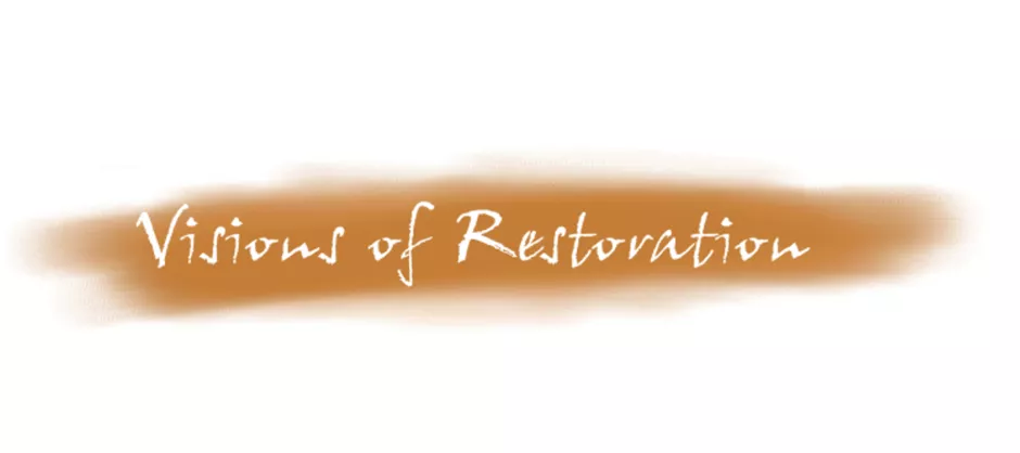 vision of restoration banner