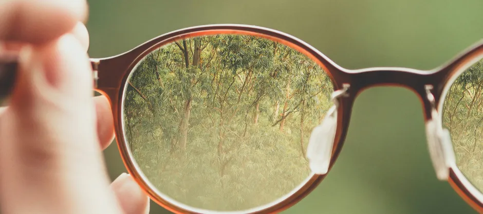 looking through glasses at trees