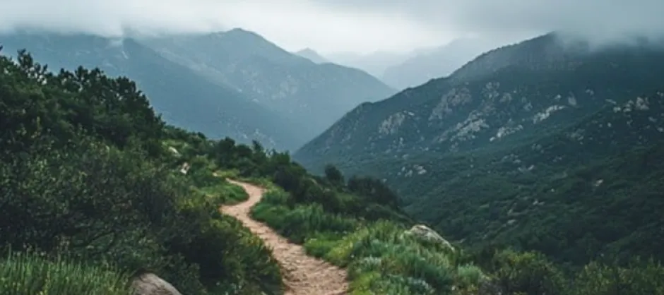 A trail on a mountain