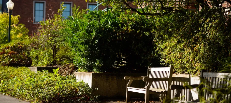 two benches in a park