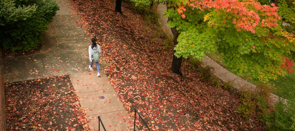 A woman walking through the woods on a paved pathway.