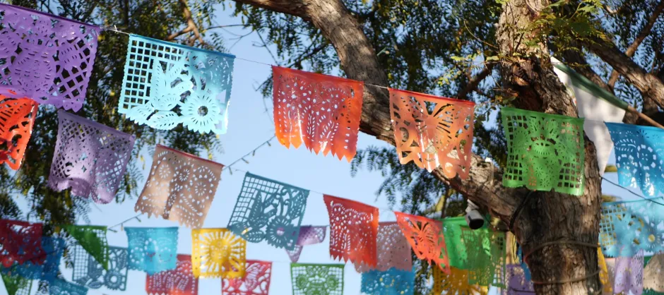 colorful flags