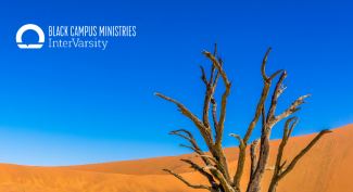 Life of Moses (BCM Guide) banner